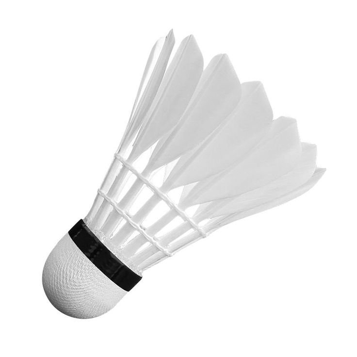 Shuttlecock